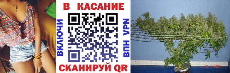 Где продают наркотики Нововоронеж A PVP Кокаин Меф МДМА ГАШИШ АМФ