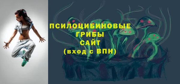гидра Аркадак
