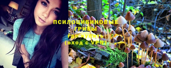 синтетический гашиш Армянск