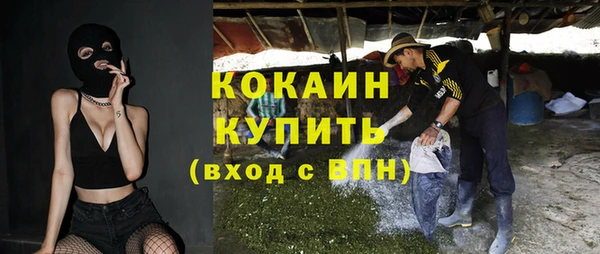 гидра Аркадак