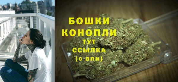 гидра Аркадак
