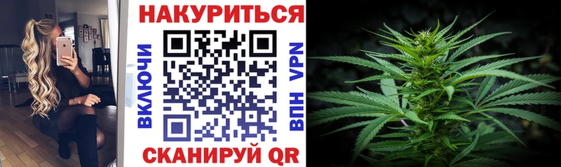 Канабис планчик  kraken маркетплейс  Нововоронеж  где найти  